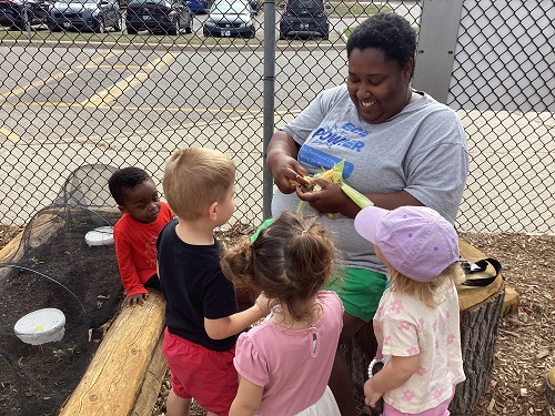 children and educator looking at an ear of corn harvested from the garden