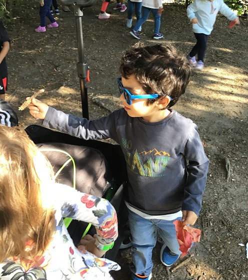 child standing in the forest holding up a skinny pinecone he found