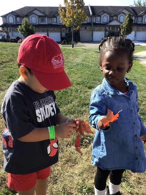 children looking down, holding leaves they collected in nature