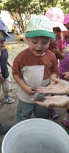 4 Toddler children standing in front of an educator who is holding a toad, the Toddler children are smiling