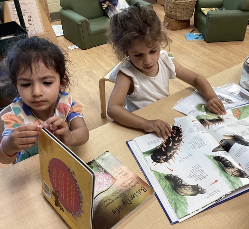 Children looking at books about butterflies