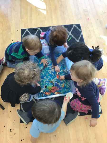 toddlers playing in a bin of wate and asorted objects