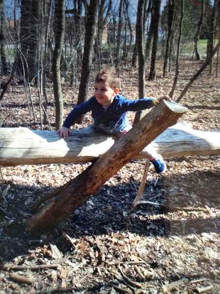 boy straddling a log in the forest