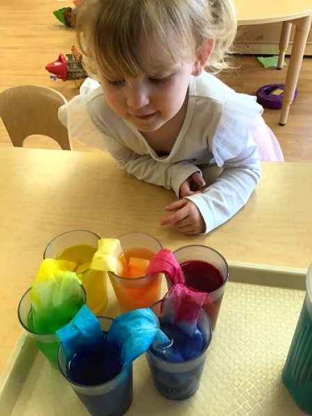 girl observing several glasses of coloured water with paper towel running through each one