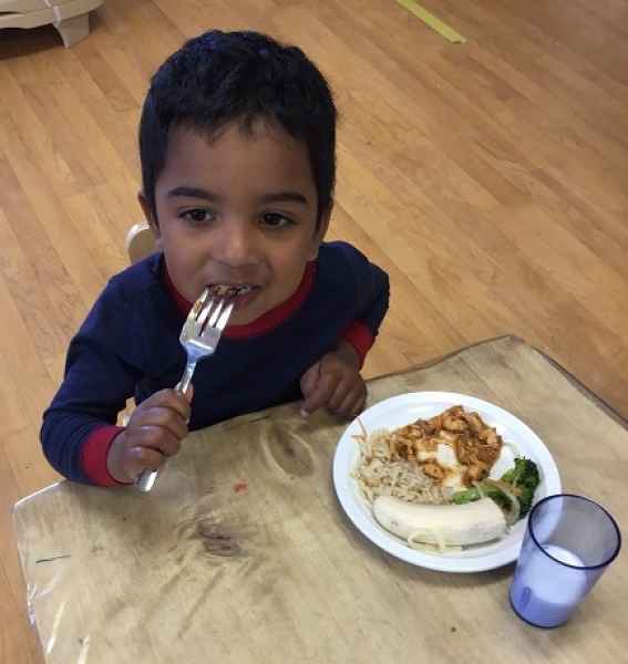 boy eating healthy lunch