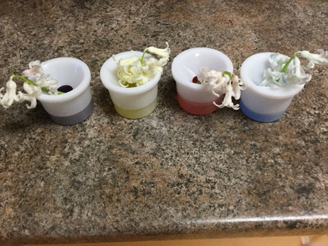 flower plants in 4 pots