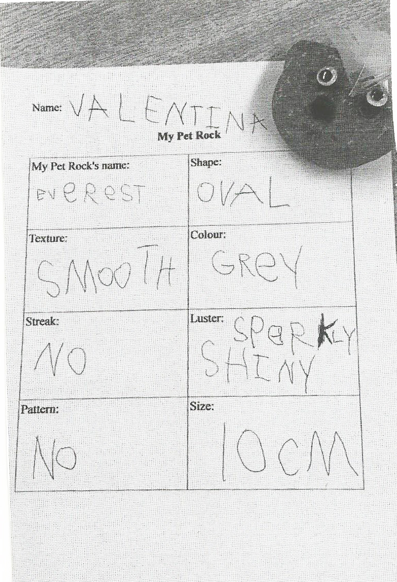 Rock chart observation