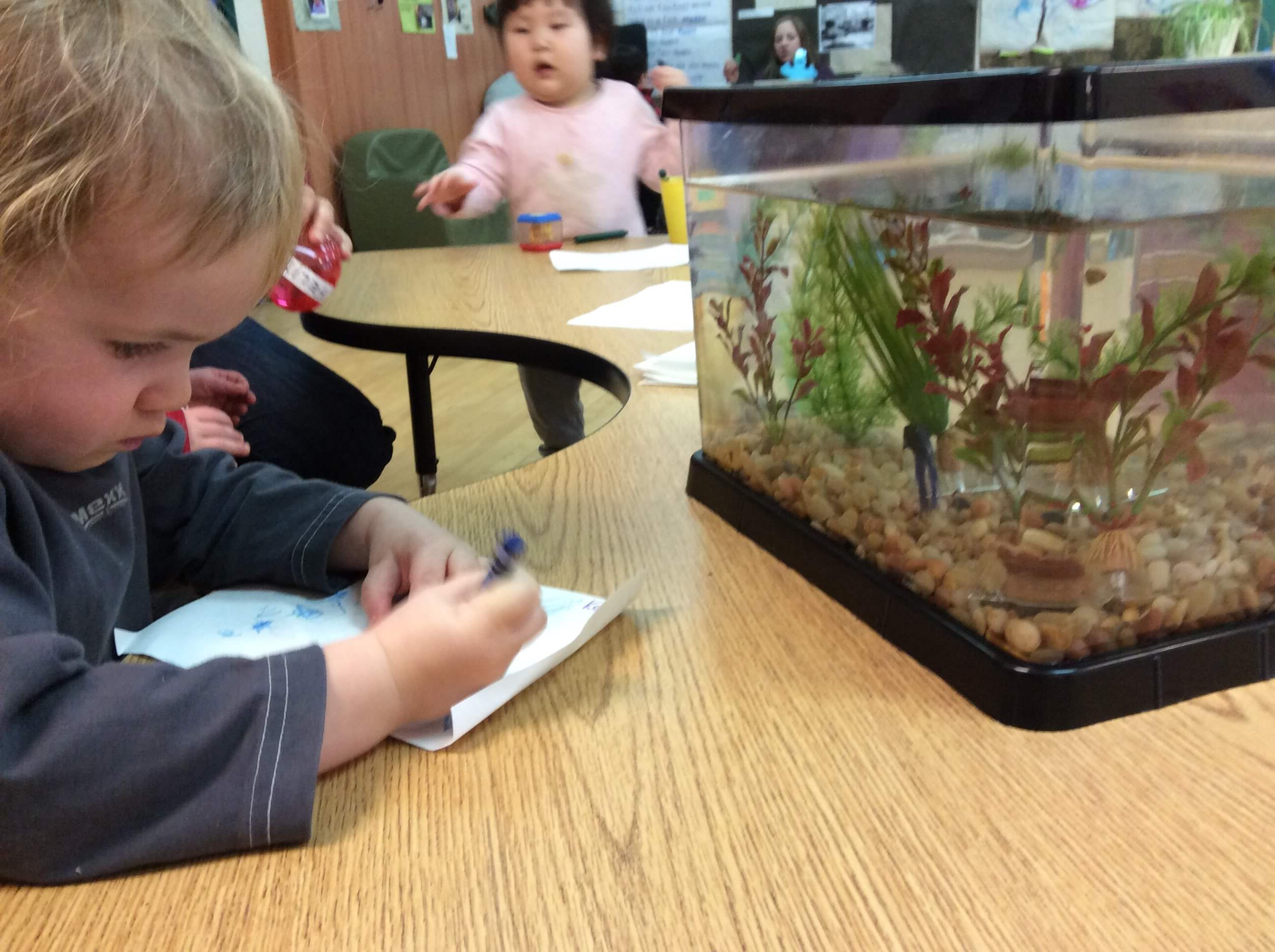 Toddler drawing a fish