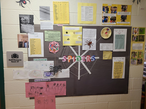 completed project web