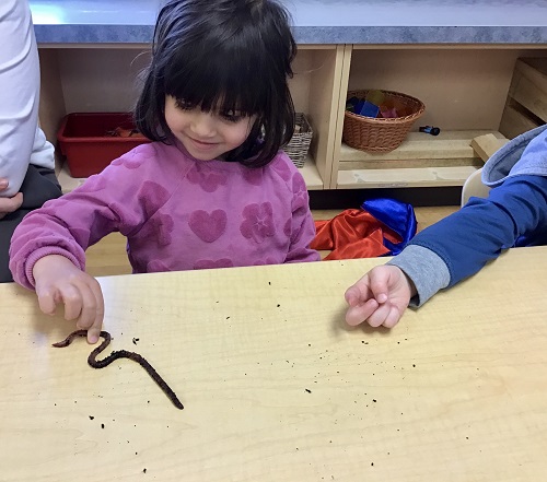 Child smiling while looking at a worm. 