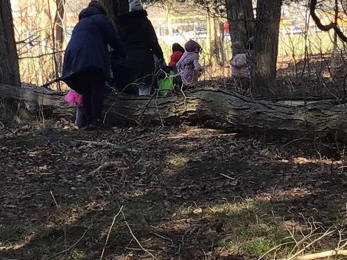 Children climbing over fallen tree with educator support.