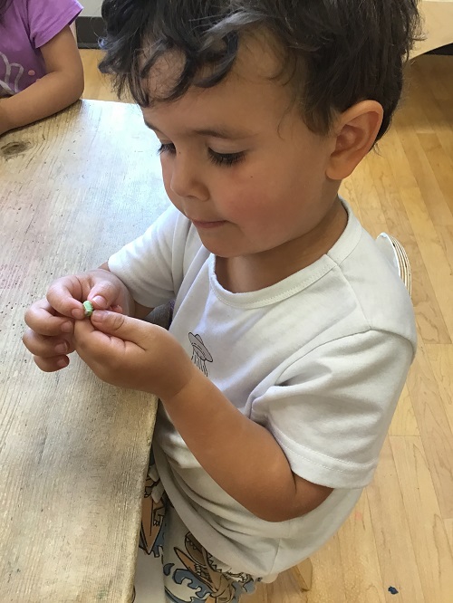 Child inspecting nature item.