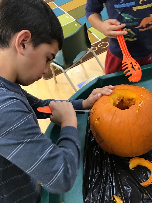 Child focusing on carefully carving the pumpkin.
