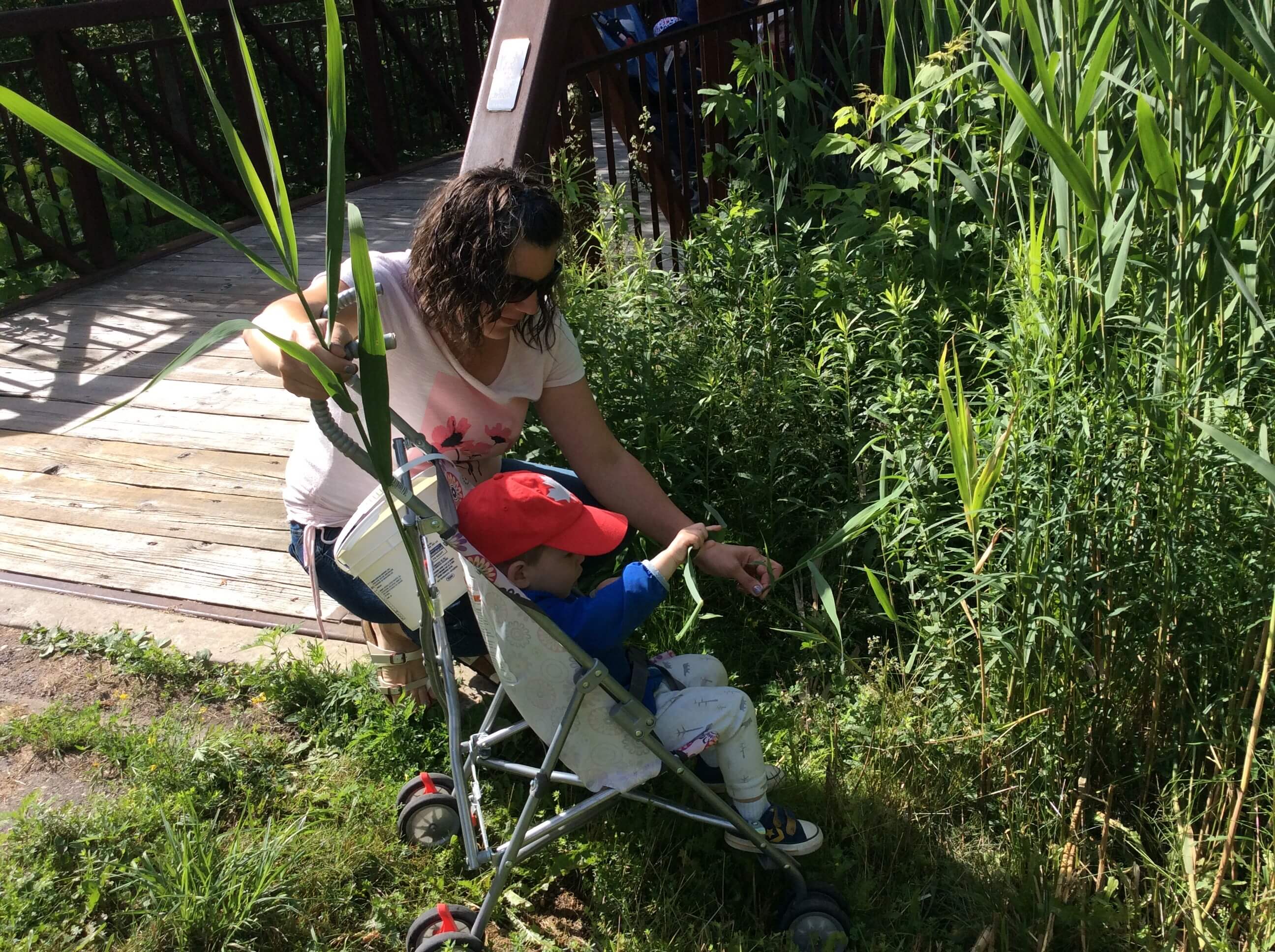educator and infant looking through grass