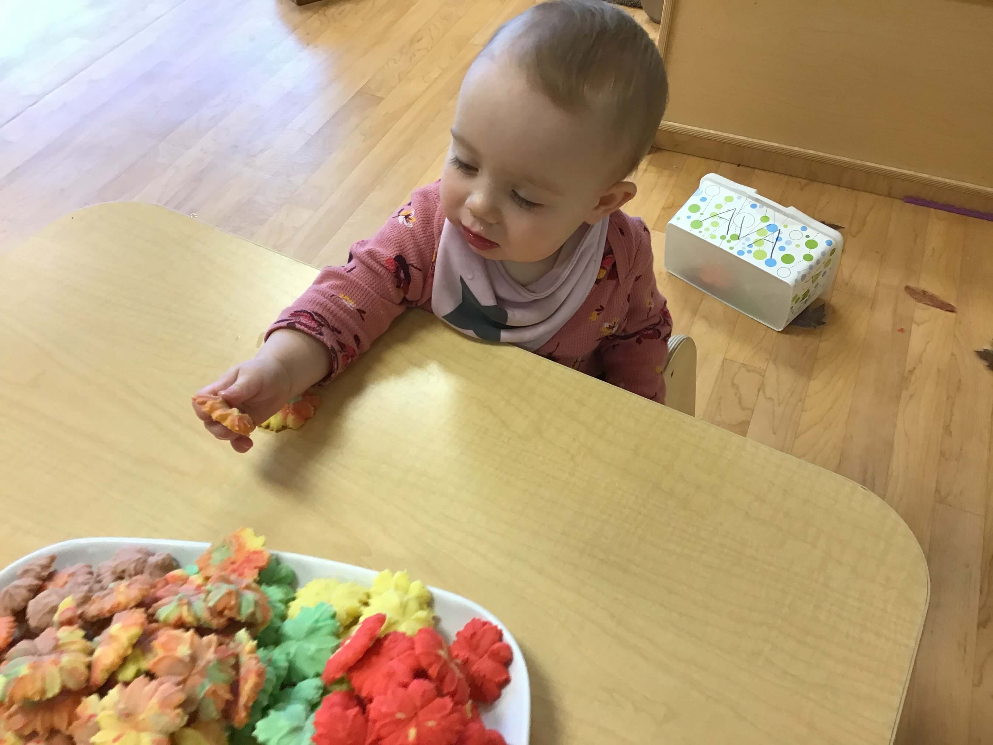 child holding a leaf cookie