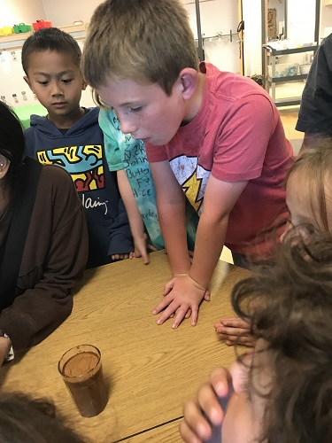 children doing an experiment about hydrophobic substances by dipping their finger in water with cinnamon powder in it